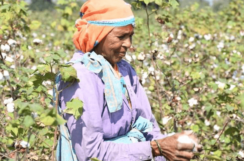 Regeneration and the fashion industry. Recollector