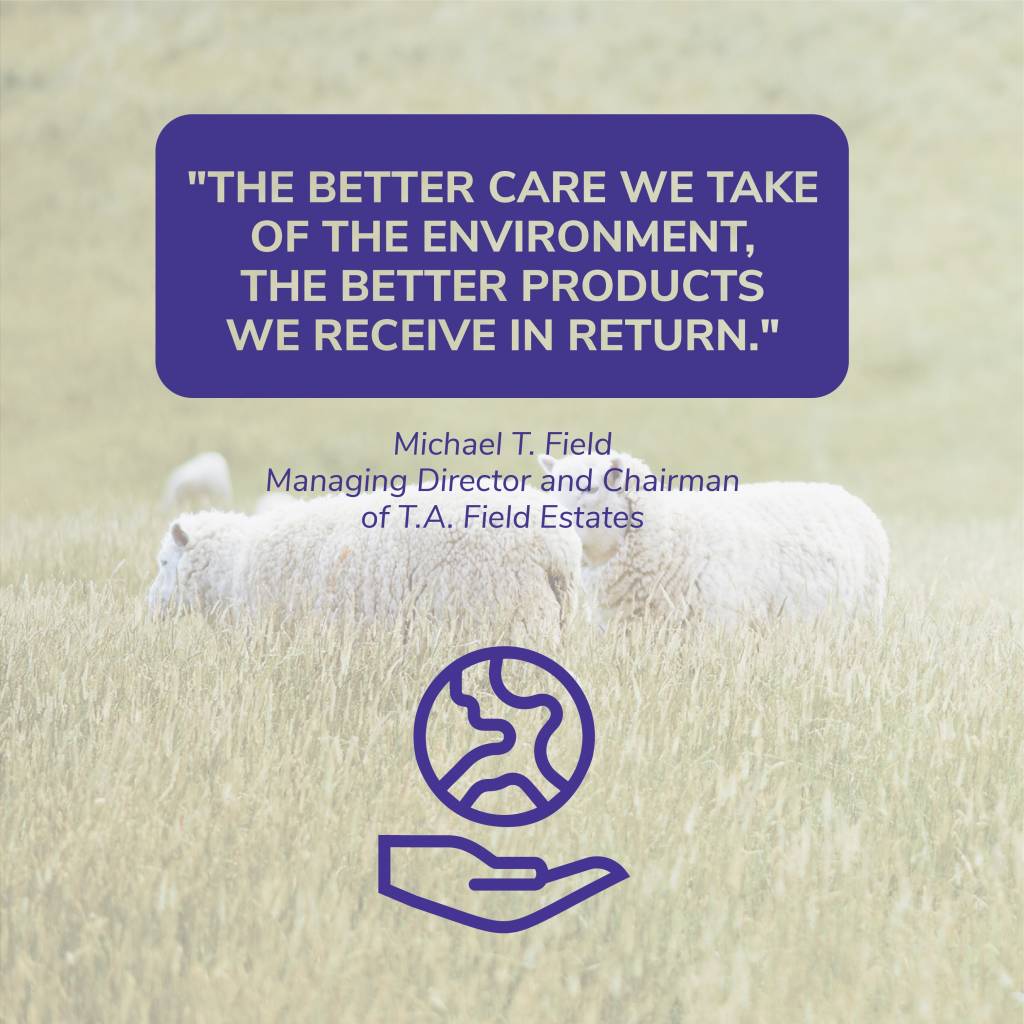 Taking care of animal welfare