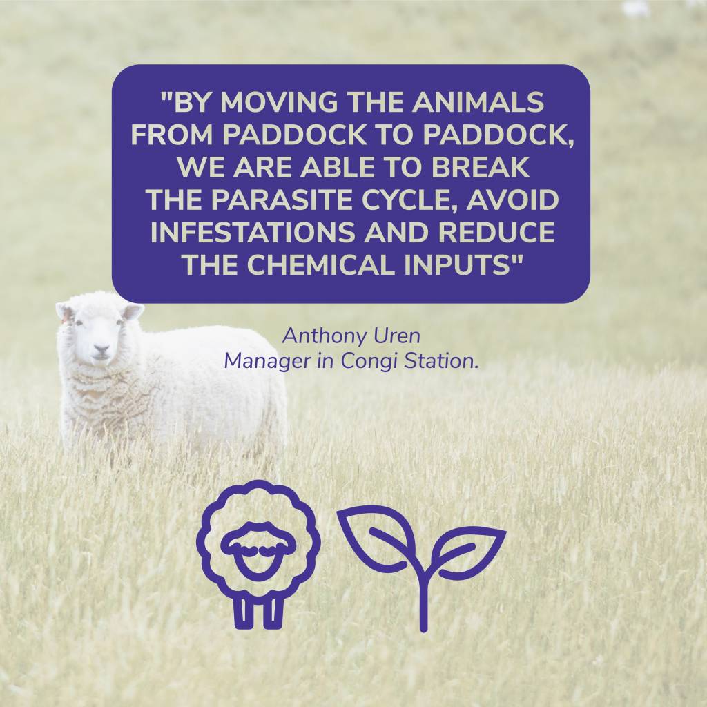 Taking care of animal welfare