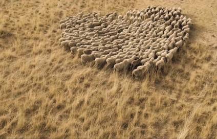 Botto Giuseppe Eco Intelligent Growth