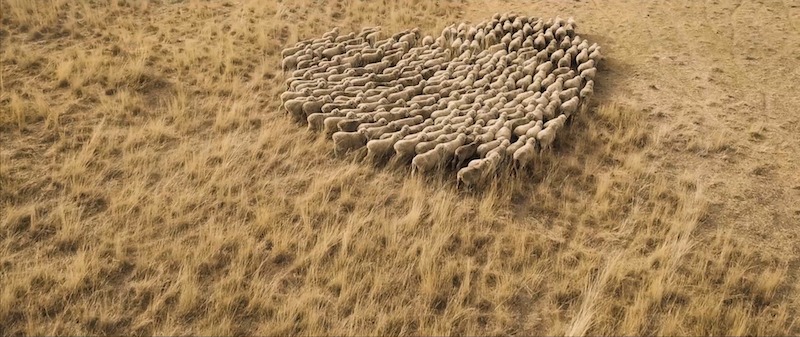 Botto Giuseppe Eco Intelligent Growth