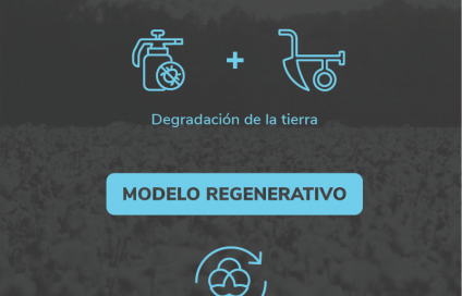 Pastoreo y agricultura regenerativa