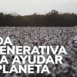 Moda regenerativa para ayudar al planeta