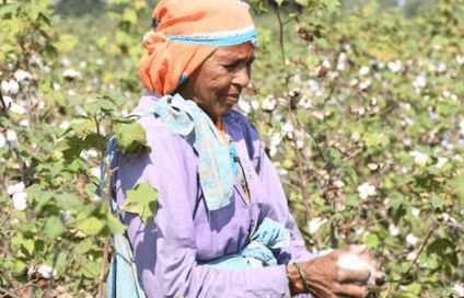 Regeneration and the fashion industry. Recollector