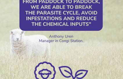 Taking care of animal welfare