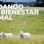 Cuidar el bienestar de los animales