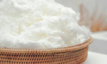 sia-Pacific-Rayon_Viscose